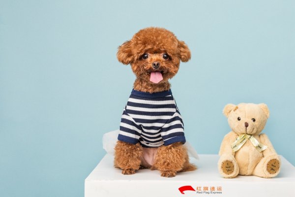 疫情期間香港商品如何轉(zhuǎn)運(yùn)到遼寧阜新呢？